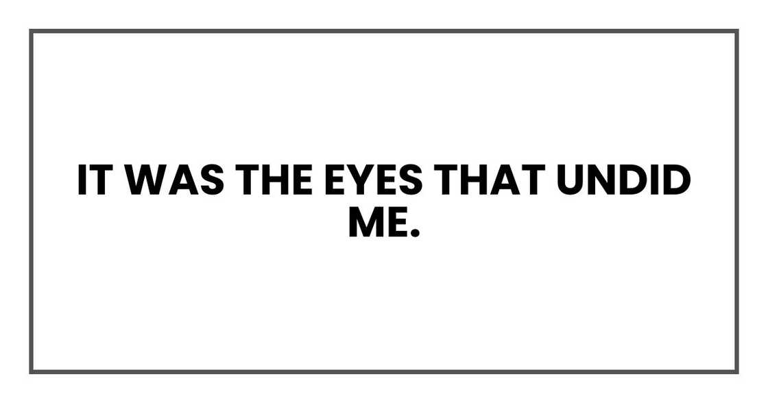 It was the eyes that undid me. It was the eyes that undid me.