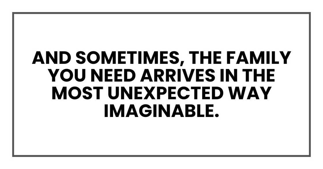 And sometimes, the family you need arrives in the most unexpected way imaginable.