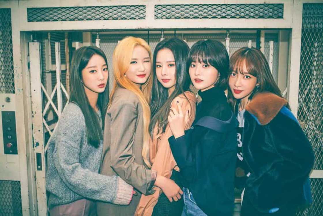 EXID members profile EXID members profile