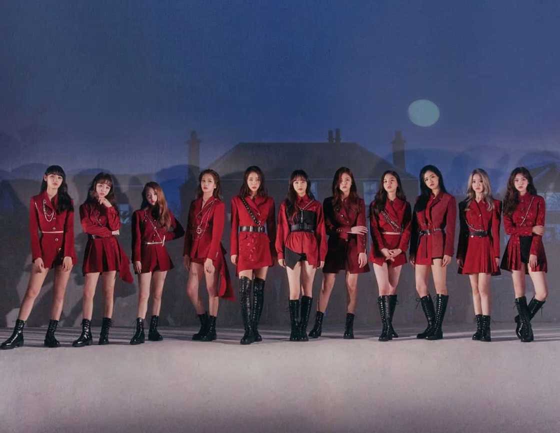 Loona Instagram Loona Instagram
