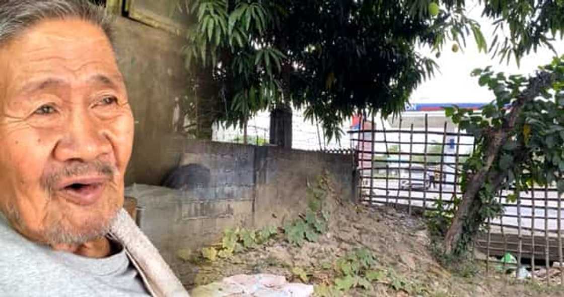 Xian Gaza speculates on Lolo Narding’s arrest over mangoes: “di siya makapangyarihan” Xian Gaza speculates on Lolo Narding’s arrest over mangoes: “di siya makapangyarihan”