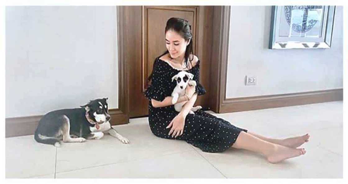 Heart Evangelista, kinailangan ng hiwalay na sasakyan ang kanyang mga bagahe: “Yeah, kasi hindi talaga kaya” Heart Evangelista, kinailangan ng hiwalay na sasakyan ang kanyang mga bagahe: “Yeah, kasi hindi talaga kaya”