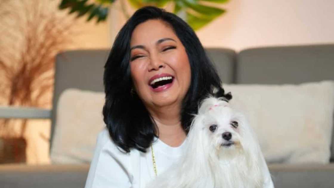 Maricel Soriano, napuri at nais ma-interview sina Enchong Dee at Joshua Garcia Maricel Soriano, napuri at nais ma-interview sina Enchong Dee at Joshua Garcia