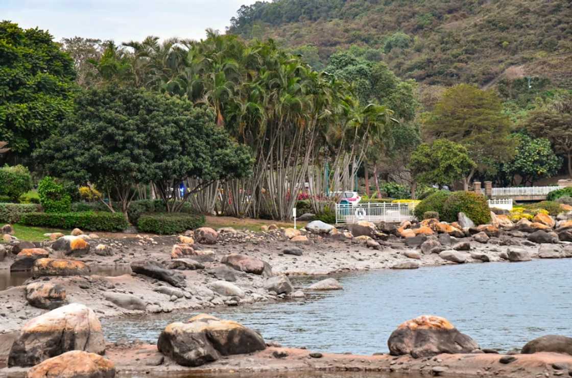 Sunog na katawan, natagpuan sa isang lake na mina-manage ng HK Disneyland