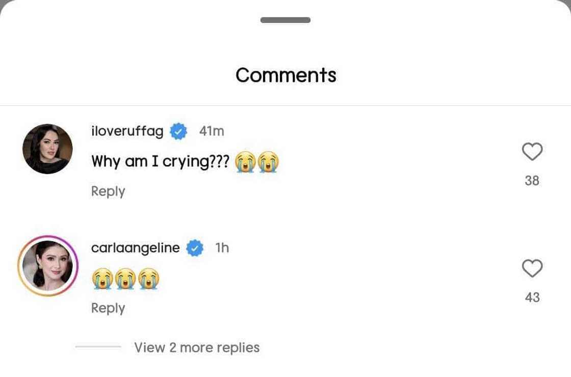 Ruffa Gutierrez, Carla Abellana turn emotional over Heart-Chiz's renewal recap Ruffa Gutierrez, Carla Abellana turn emotional over Heart-Chiz's renewal recap