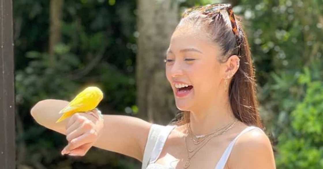 Kim Chiu nahuling may ka-video call habang live sa "It's Showtime" Kim Chiu nahuling may ka-video call habang live sa "It's Showtime"