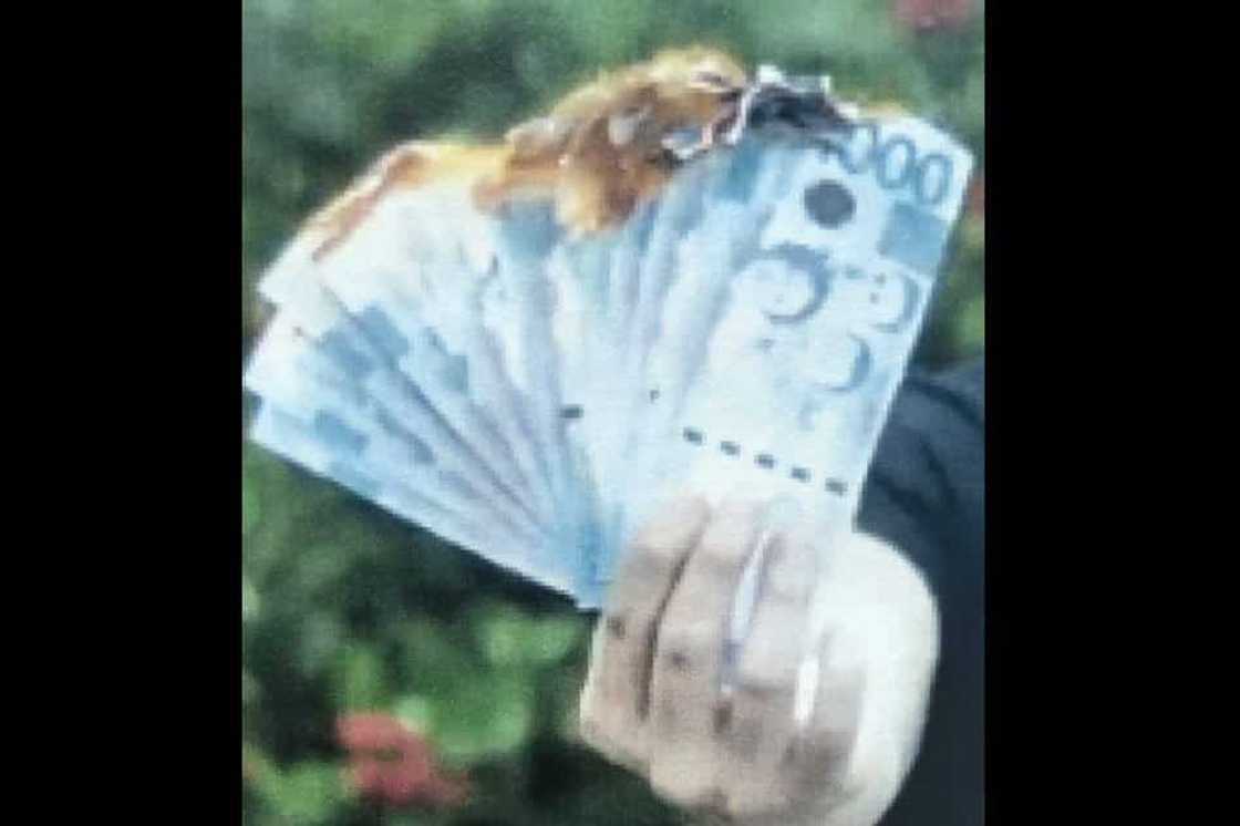 Explainer: What are the punishments for vandalizing and destroying money? Explainer: What are the punishments for vandalizing and destroying money?