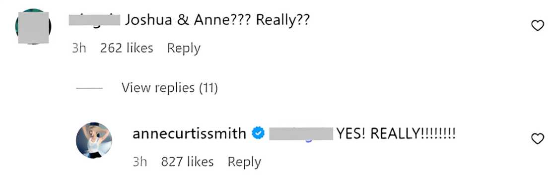 Anne Curtis responds to netizen who questions her and Joshua Garcia's pairing Anne Curtis responds to netizen who questions her and Joshua Garcia's pairing