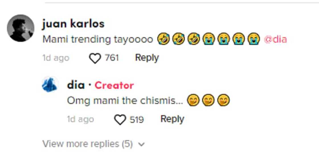 Dia Mate on TikTok/@diaxmate Dia Mate on TikTok/@diaxmate