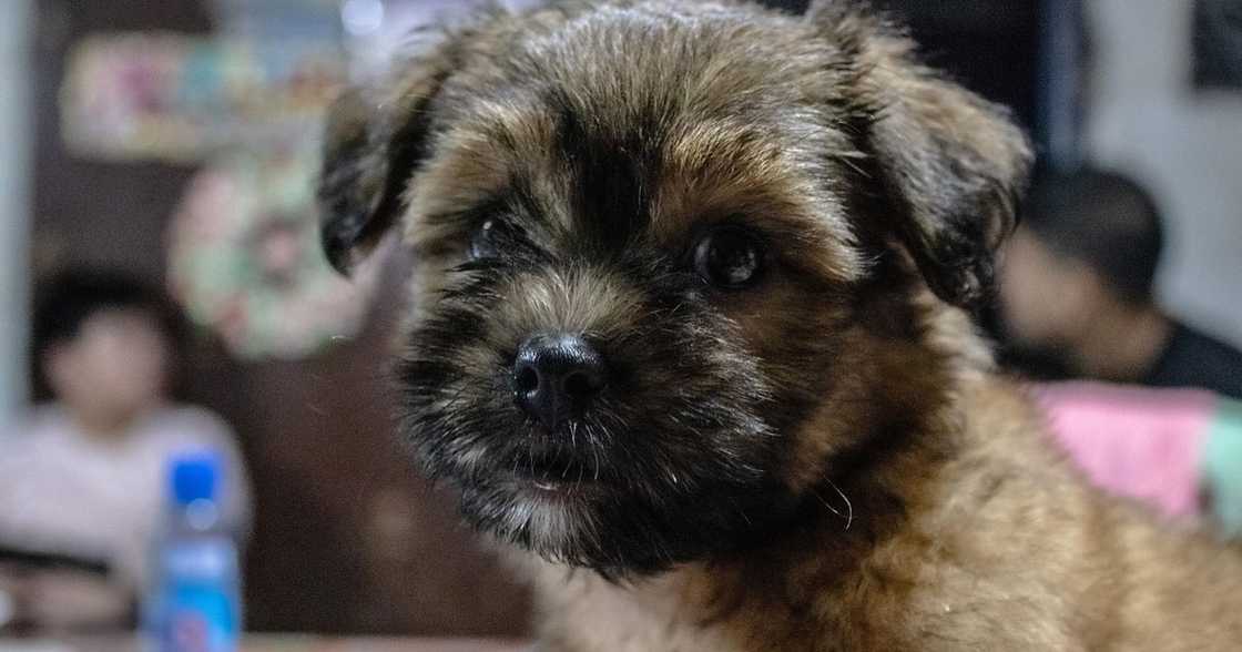 Photo: Pixabay Photo: Pixabay