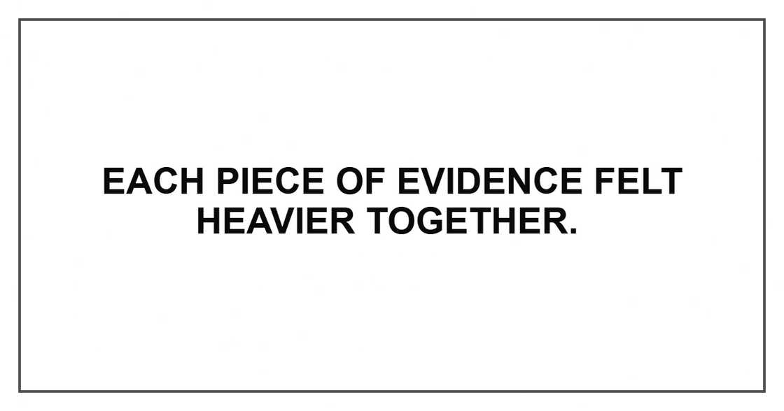 Each piece of evidence felt heavier together Each piece of evidence felt heavier together