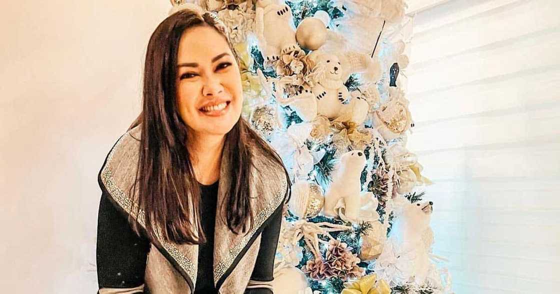 Ruffa Gutierrez, di-affected kung may magsabi man na mukha siyang bakla: “It’s an honor to look gay” Ruffa Gutierrez, di-affected kung may magsabi man na mukha siyang bakla: “It’s an honor to look gay”