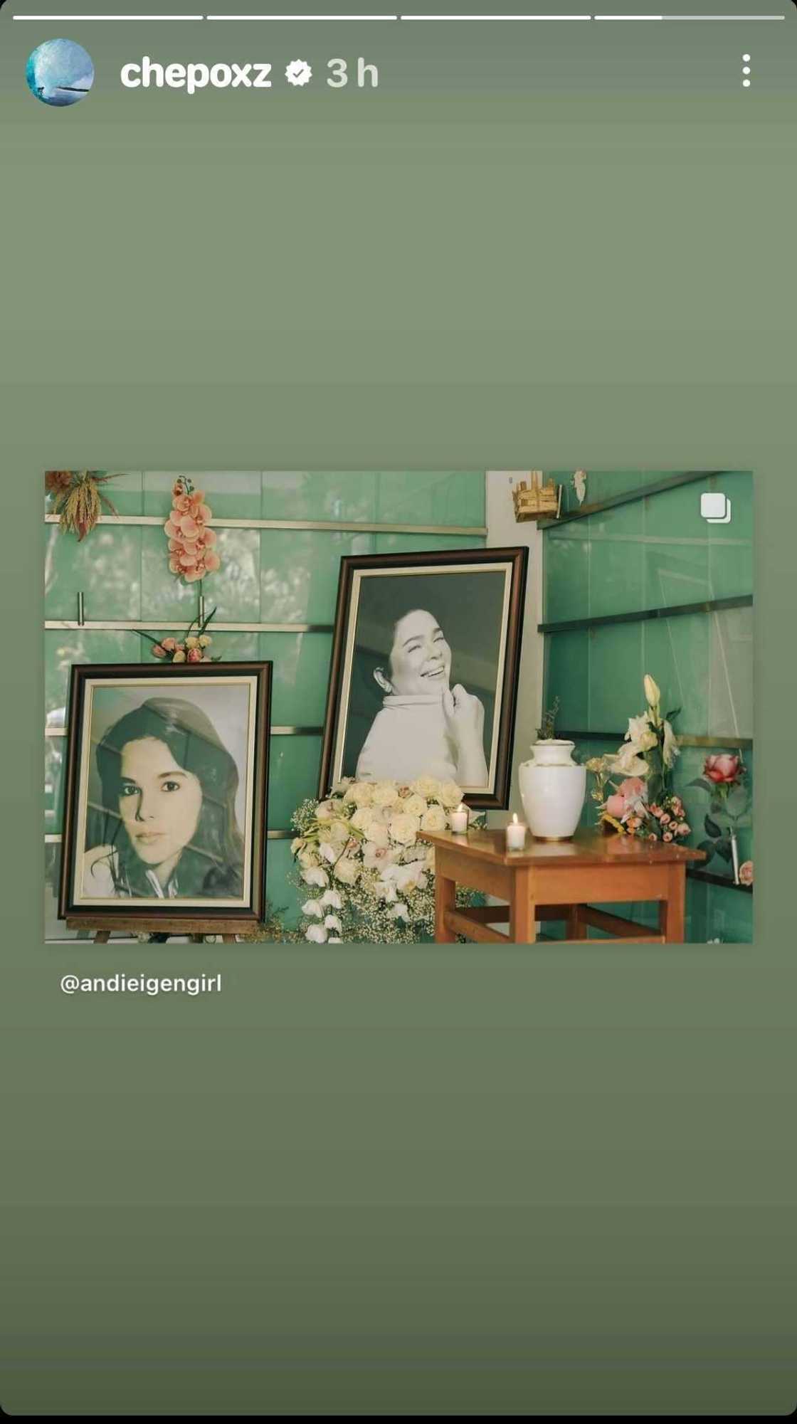 Philmar Alipayo reposts Andi Eigenmann's heartfelt tribute to Jaclyn Jose