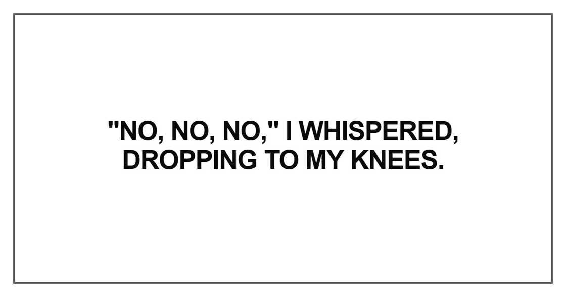 No, no, no," I whispered No, no, no," I whispered