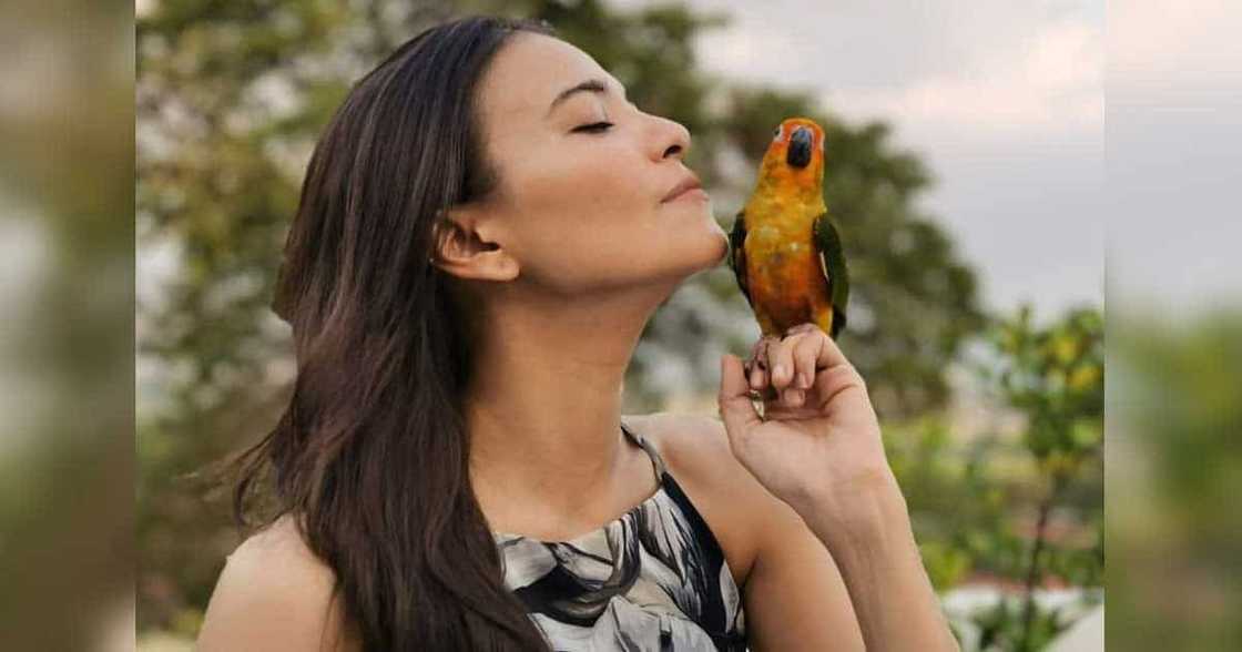 Alessandra de Rossi, binatikos ang mga kinauukulan dahil sa pagpapabaya: “Stop taking Filipinos for granted!” Alessandra de Rossi, binatikos ang mga kinauukulan dahil sa pagpapabaya: “Stop taking Filipinos for granted!”