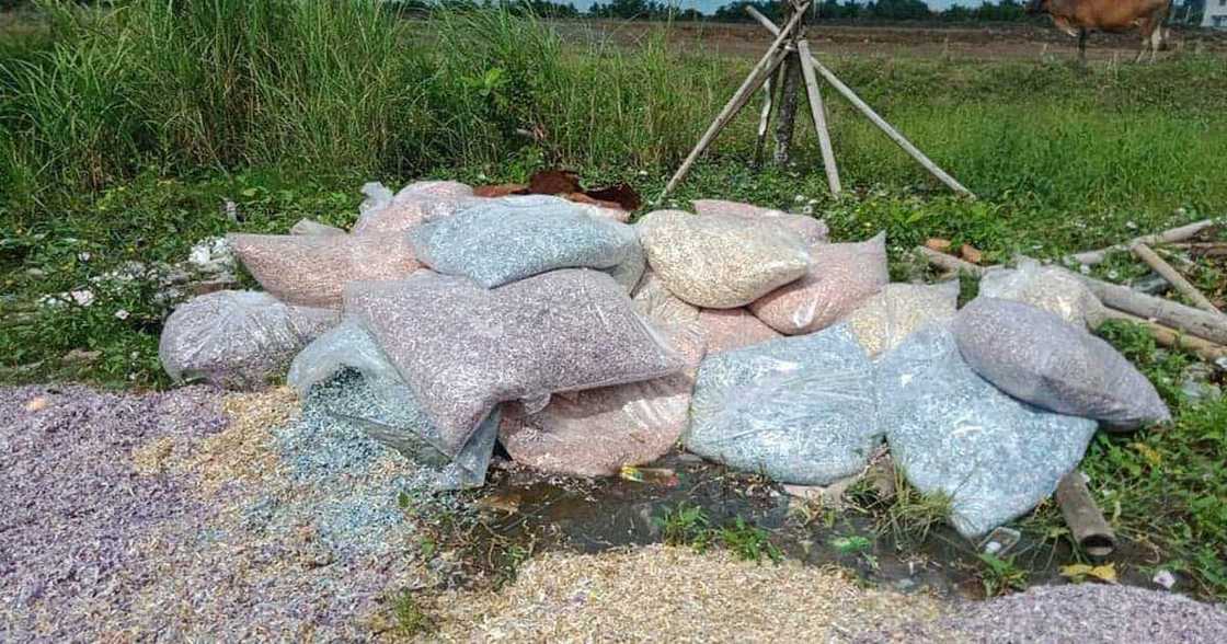 Bags of shredded money in plastic bags found in Roxas City Bags of shredded money in plastic bags found in Roxas City