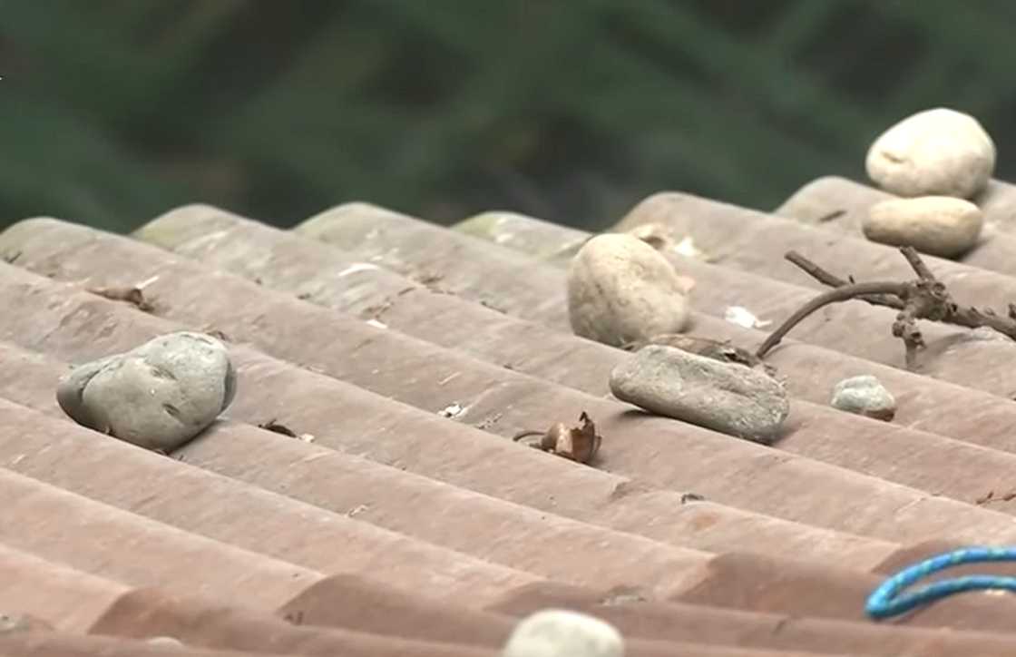 One North Central Luzon/GMA 7/GMA Regional TV on YouTube One North Central Luzon/GMA 7/GMA Regional TV on YouTube