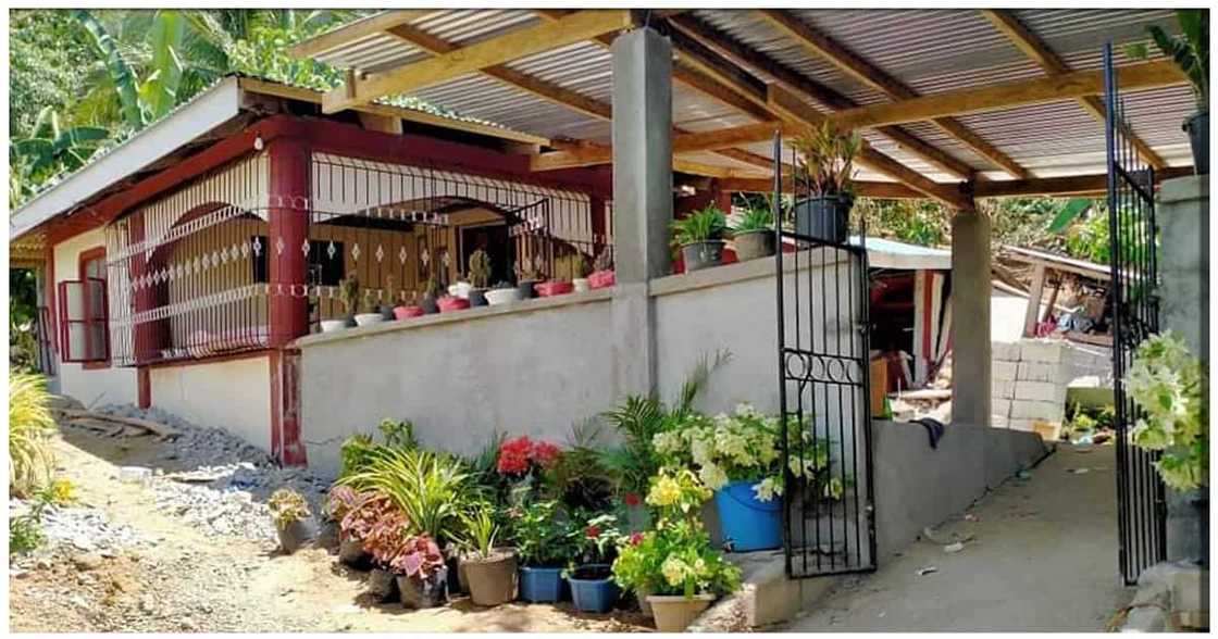 OFW, nanlumo sa kinahinatnan ng pinaghirapang ipundar na bahay OFW, nanlumo sa kinahinatnan ng pinaghirapang ipundar na bahay