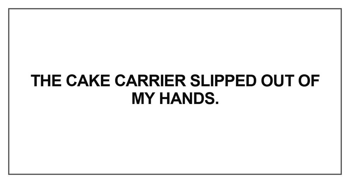 The cake carrier slipped out of my hands The cake carrier slipped out of my hands