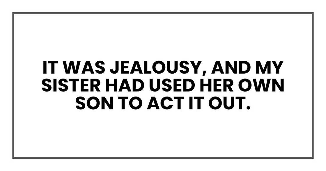 It was jealousy, and my sister had used her own son to act it out. It was jealousy, and my sister had used her own son to act it out.