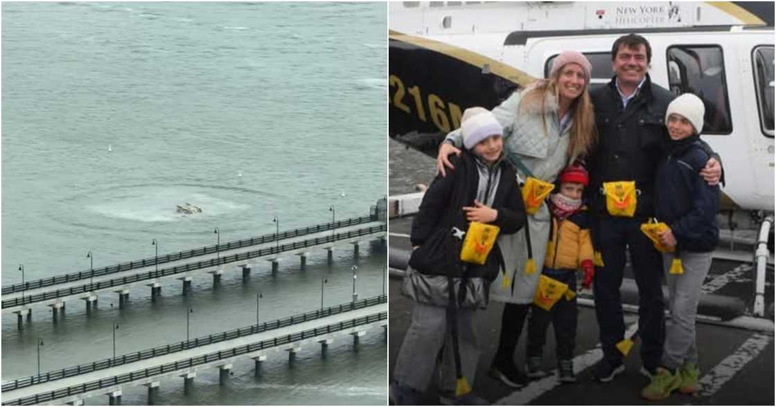 Alemor Joy on Facebook Alemor Joy on Facebook