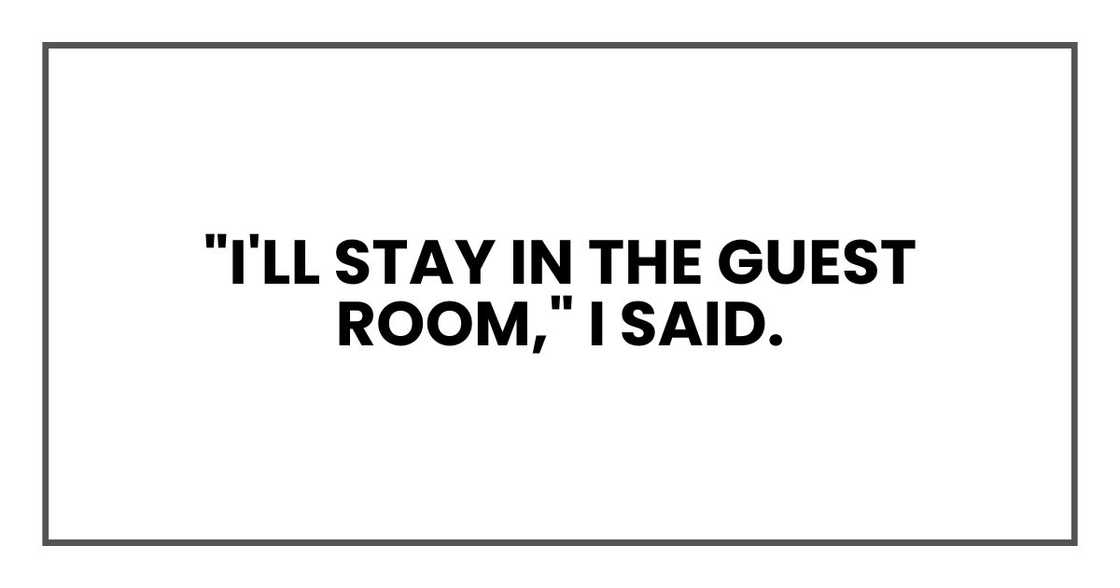"I'll stay in the guest room," I said. "I'll stay in the guest room," I said.