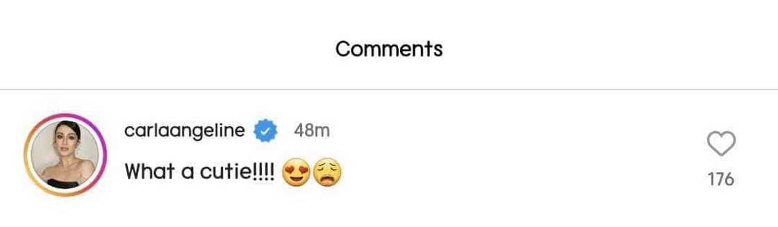 Carla Abellana reacts to Kathryn Bernardo's post petting a stranger's dog Carla Abellana reacts to Kathryn Bernardo's post petting a stranger's dog