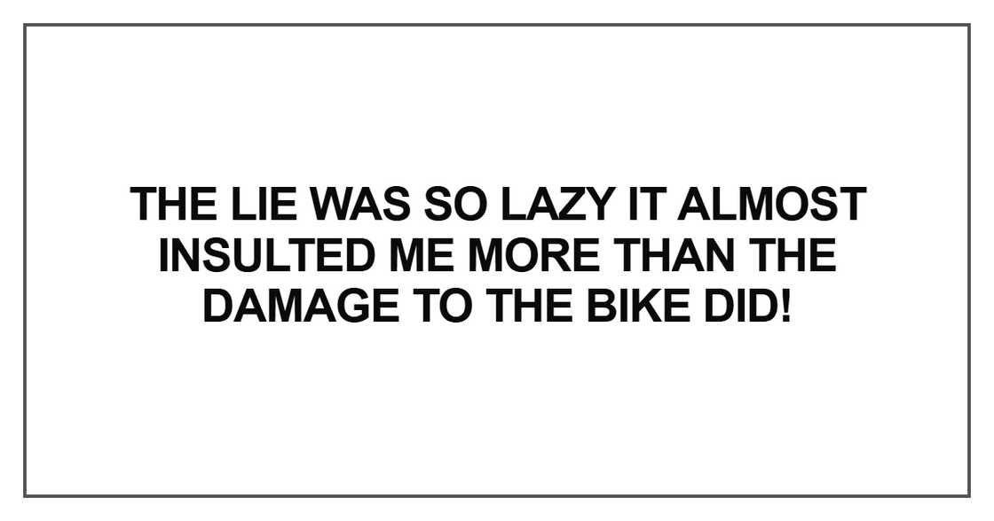 The lie was so lazy it almost insulted me more than the damage