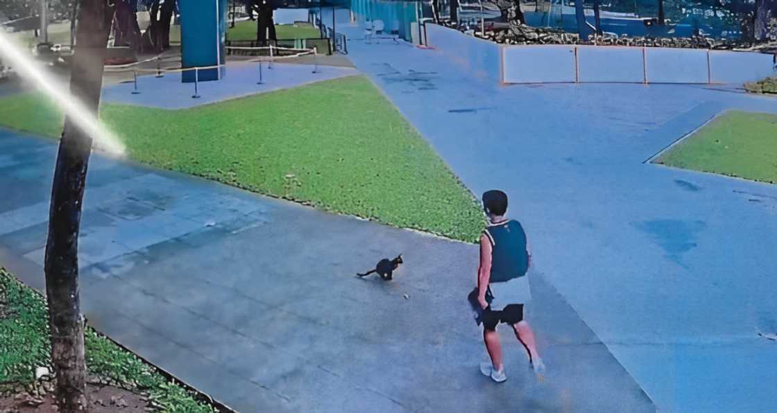 Photo: Cara Welfare Philippines via GMA News Photo: Cara Welfare Philippines via GMA News