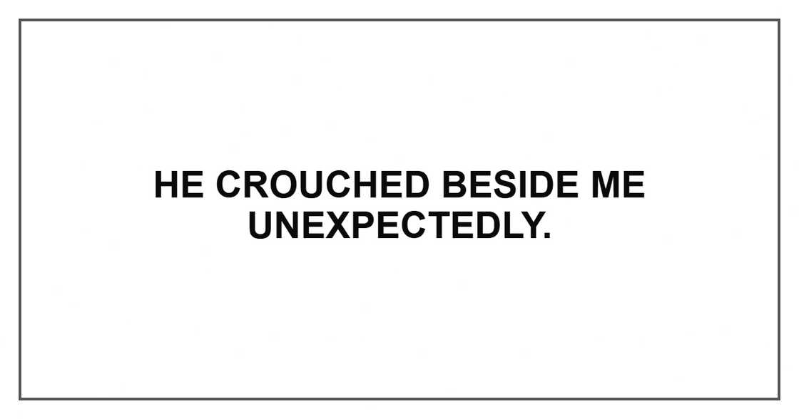 He crouched beside me unexpectedly. He crouched beside me unexpectedly.