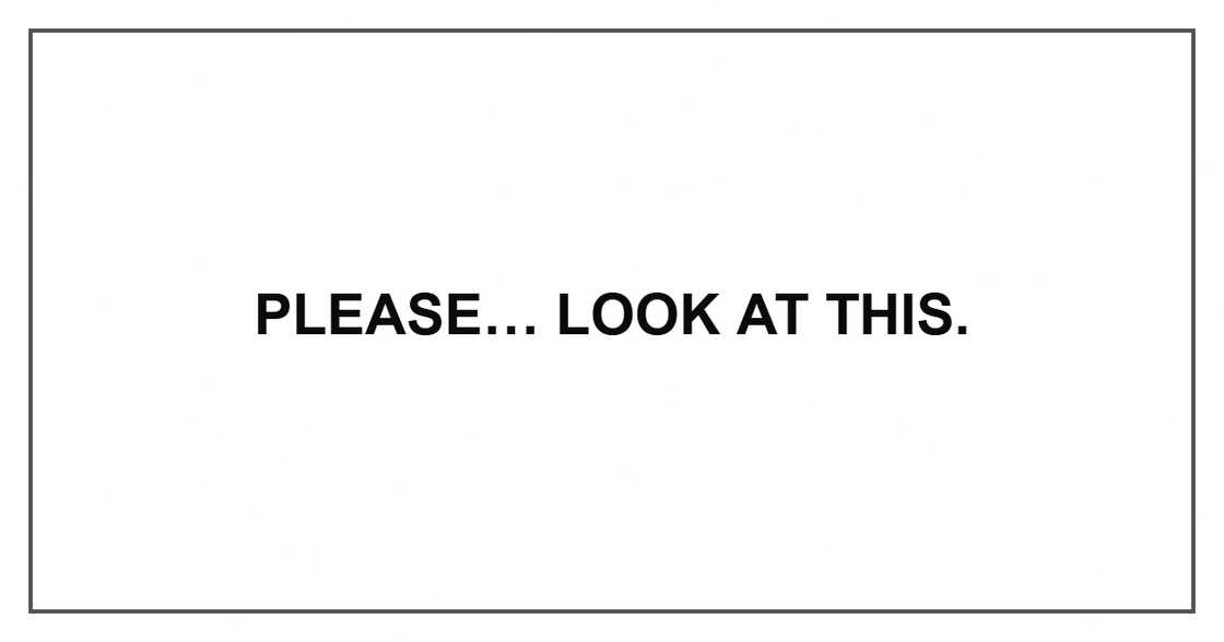 Please… look at this.