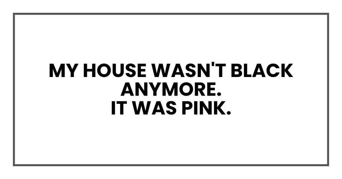 My house wasn't black anymore.
It was pink.