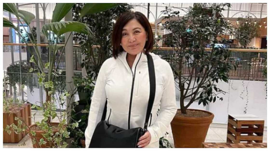 Cristy Fermin, ipinagtanggol si Sharon Cuneta sa mga bashers nito; "Pinaghirapan niya 'yun"