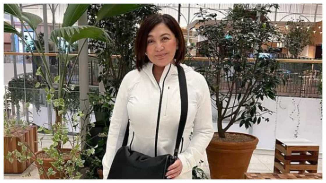 Cristy Fermin, ipinagtanggol si Sharon Cuneta sa mga bashers nito; "Pinaghirapan niya 'yun" Cristy Fermin, ipinagtanggol si Sharon Cuneta sa mga bashers nito; "Pinaghirapan niya 'yun"