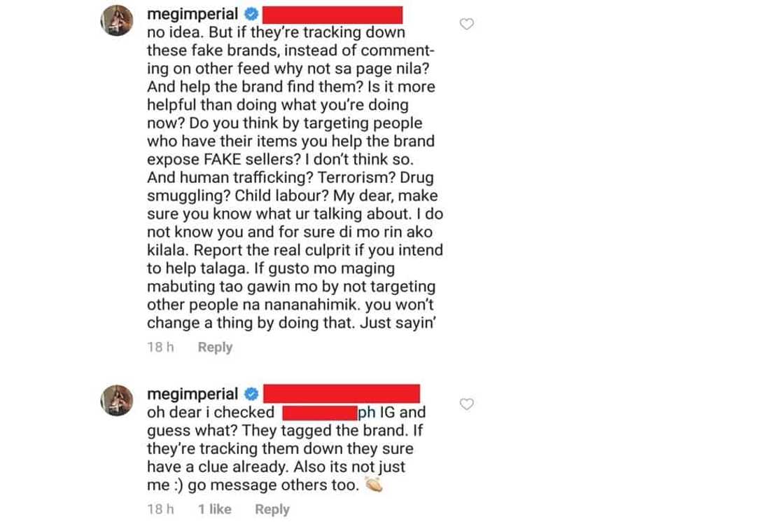 Meg Imperial heavily accused of wearing ‘fake’ LV bag; actress responds