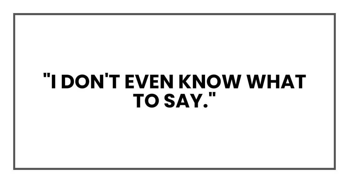 "I don't even know what to say,"