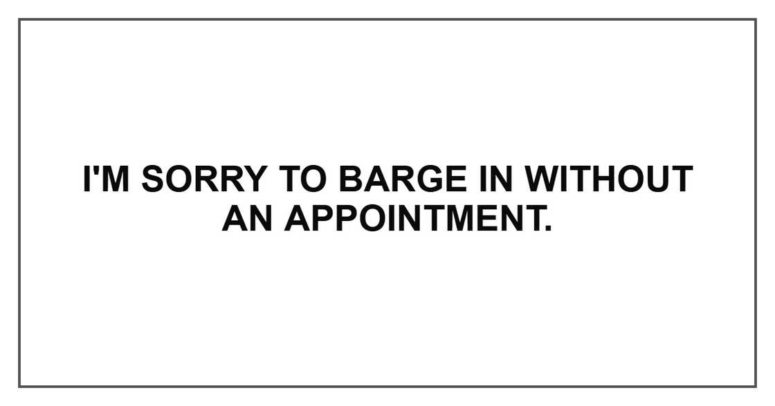 I'm sorry to barge in without an appointment. I'm sorry to barge in without an appointment.