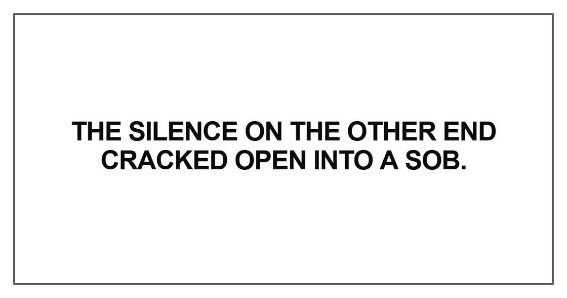 The silence on the other end cracked
