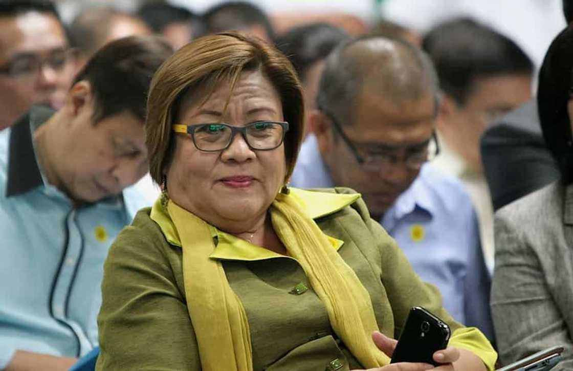 Leila de Lima accomplishments Leila de Lima accomplishments