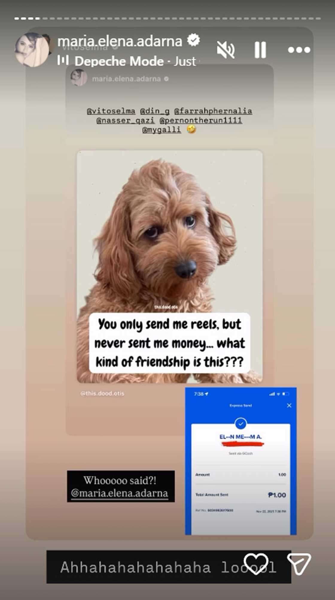 Photo: Ellen Adarna IG (@maria.elena.adarna)