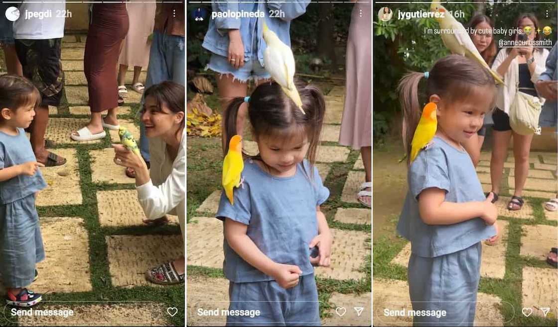 Video ni baby Dahlia Heussaff na kinagigiliwan ang ilang ibon, viral