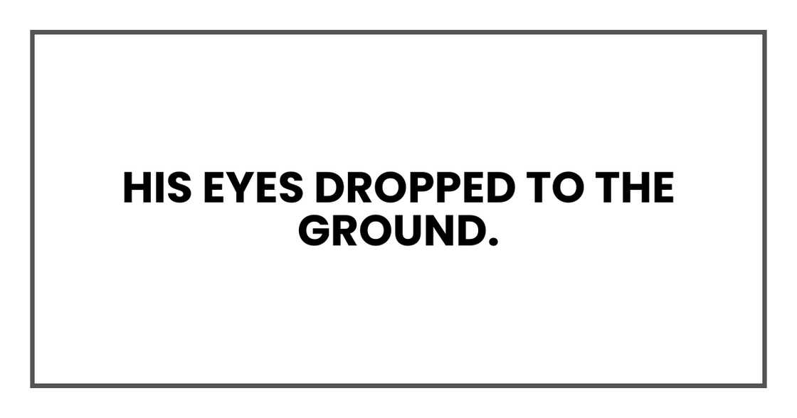His eyes dropped to the ground. His eyes dropped to the ground.
