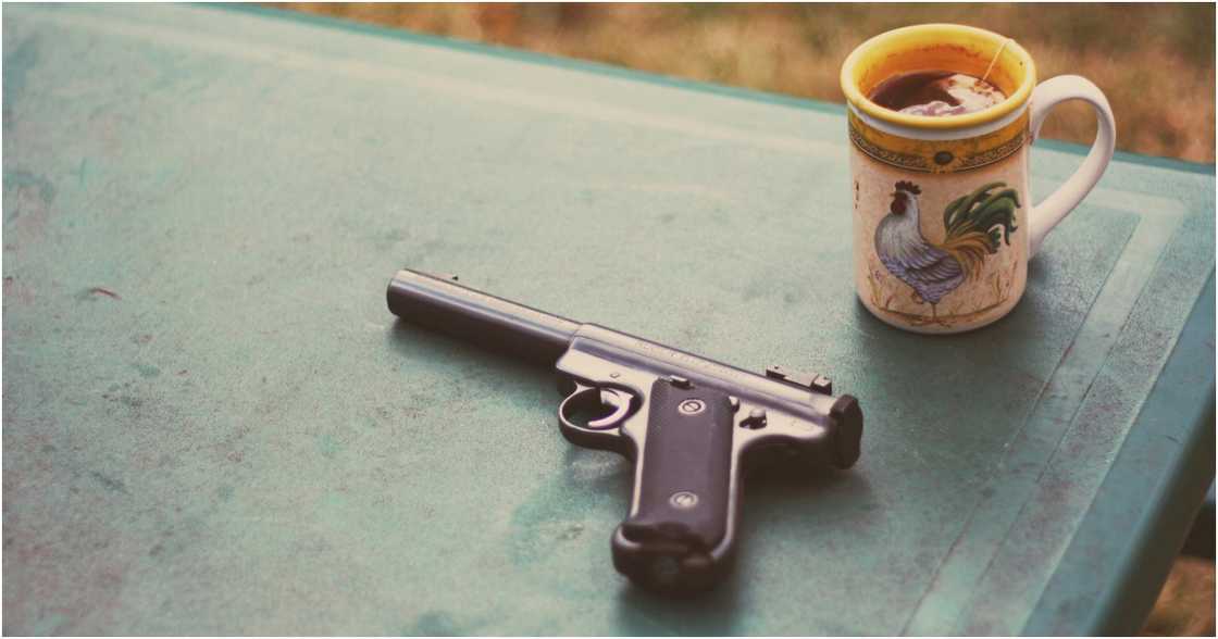 Kelly on Pexels Kelly on Pexels