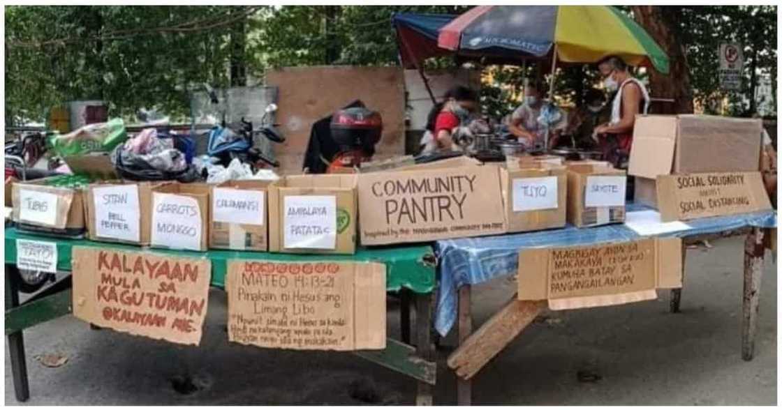 Community pantry sa Maginahawa, nagkaroon ng "domino effect" sa iba pang lugar Community pantry sa Maginahawa, nagkaroon ng "domino effect" sa iba pang lugar