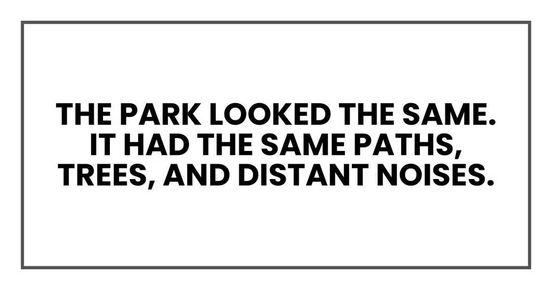 The park looked the same. It had the same paths, trees, and distant noises. The park looked the same. It had the same paths, trees, and distant noises.