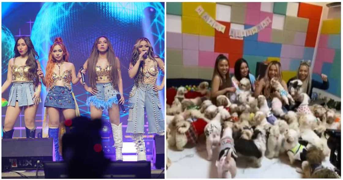 GoFundMe post ng 4th Impact para sa mga aso nila, burado na GoFundMe post ng 4th Impact para sa mga aso nila, burado na