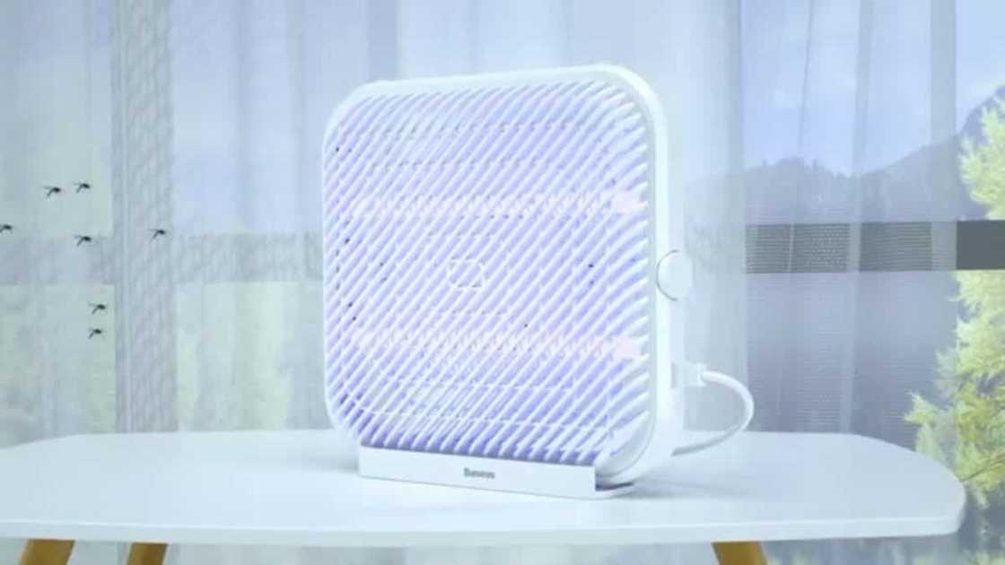 Best electric insect killers you should buy to combat dengue season Best electric insect killers you should buy to combat dengue season