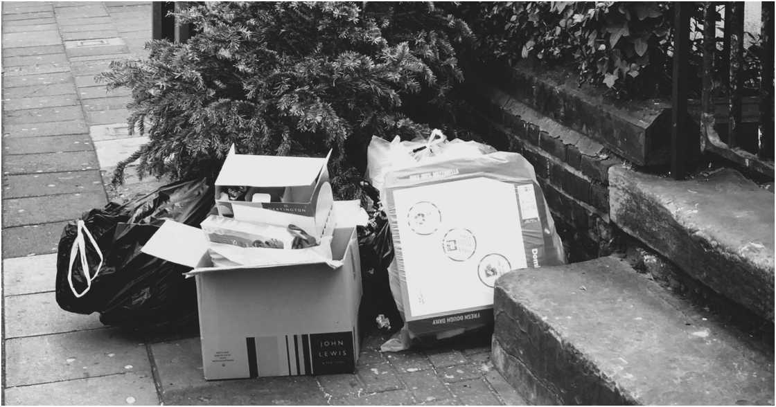 Sam J on Pexels Sam J on Pexels