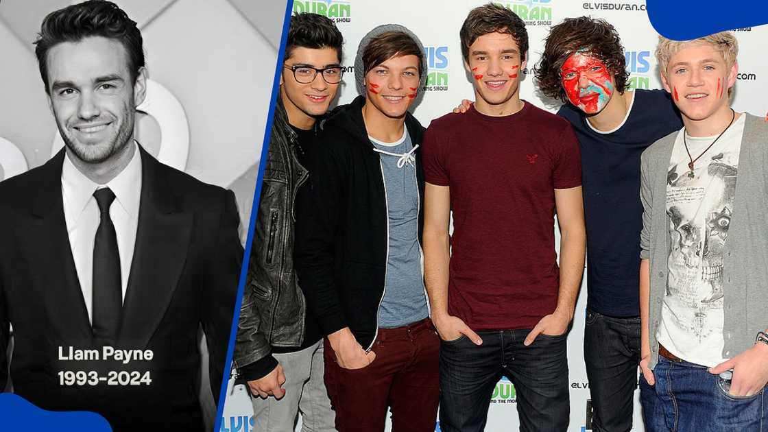 One Direction members One Direction members