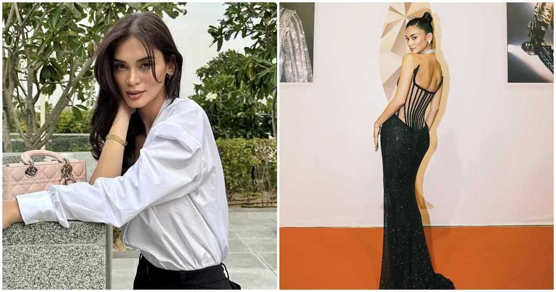 Pia Wurtzbach on getting an award at The EMIGALA Awards: "Deeply honored" Pia Wurtzbach on getting an award at The EMIGALA Awards: "Deeply honored"